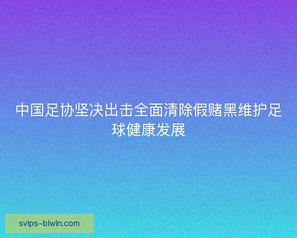 中国足协坚决出击全面清除假赌黑维护足球健康发展