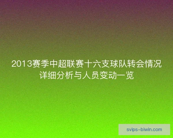 2013赛季中超联赛十六支球队转会情况详细分析与人员变动一览